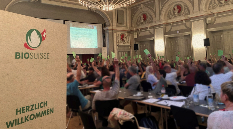 Bio-Suisse: Delegierte bestätigen Grundsätze der Wiederkäuerfütterung